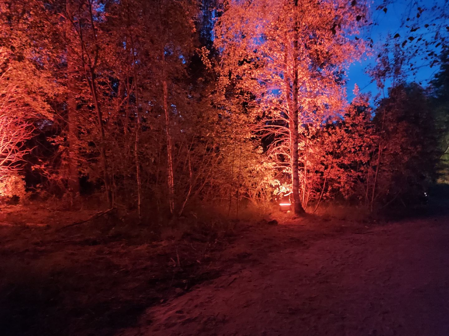 #outline, #талдомский округ, #фестиваль, #электроннаямузыка, #openair