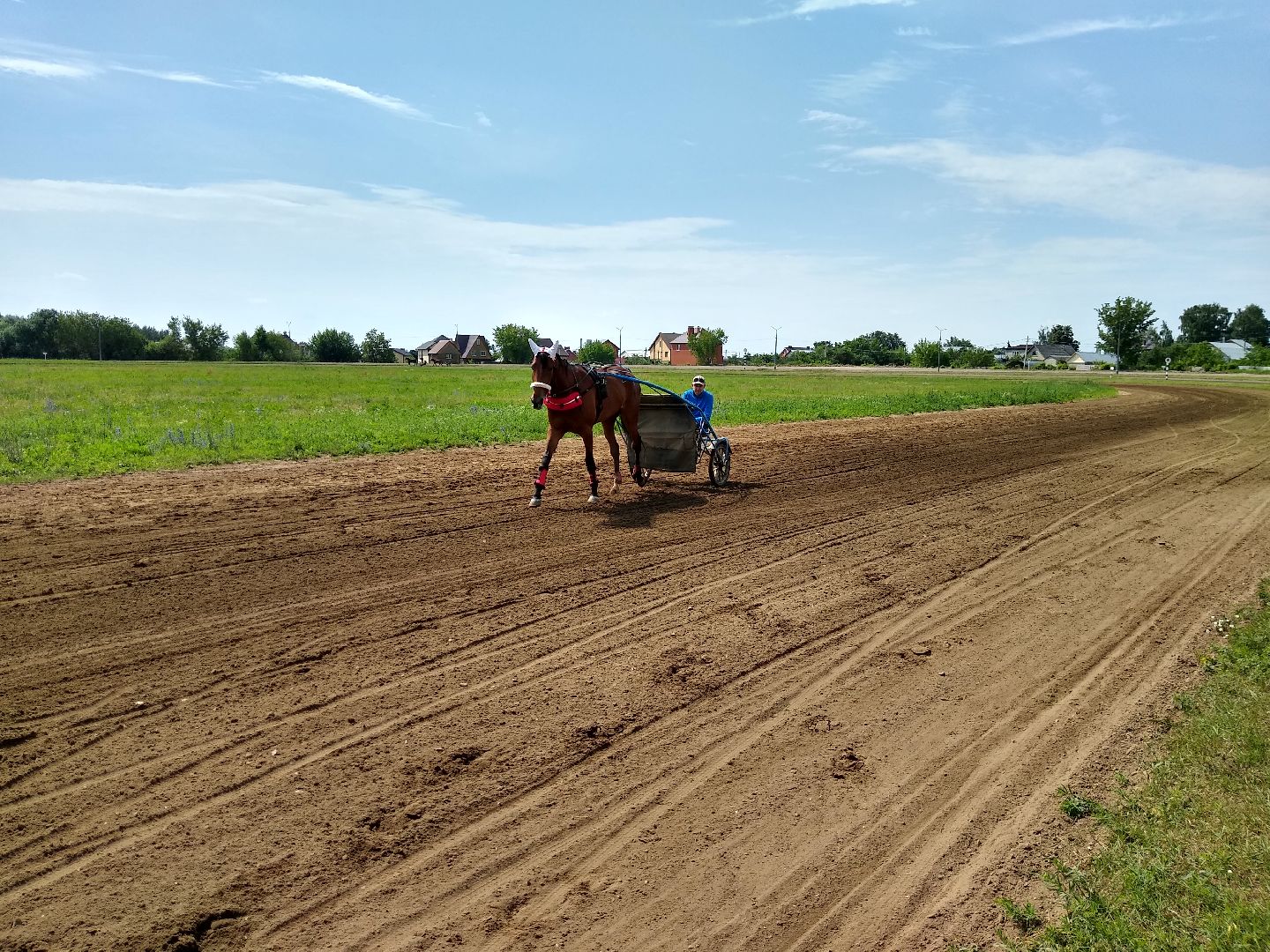 Раменское, спорт, на Раменском ипподроме разместили 160 лошадей