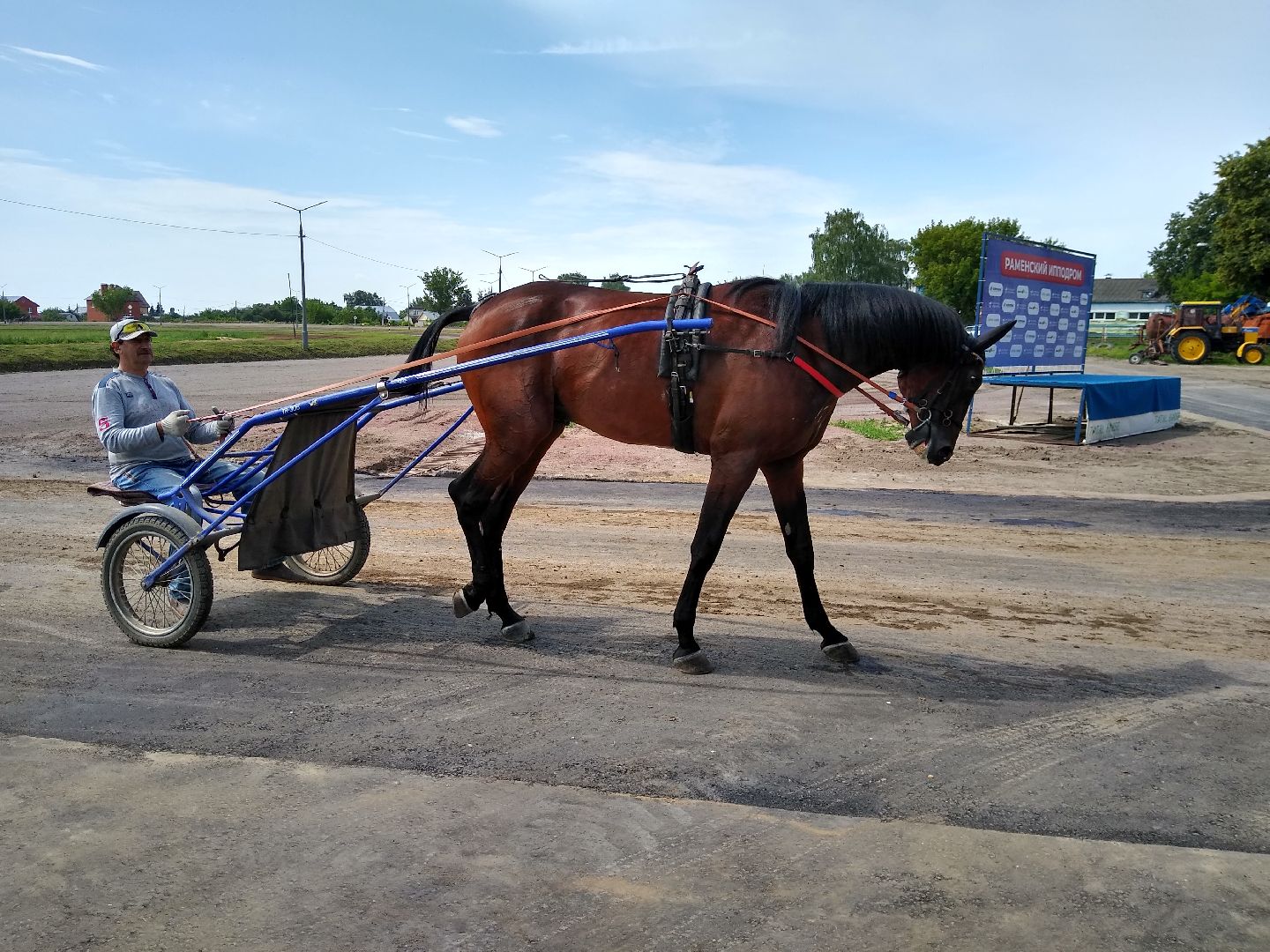 Раменское, спорт, на Раменском ипподроме разместили 160 лошадей