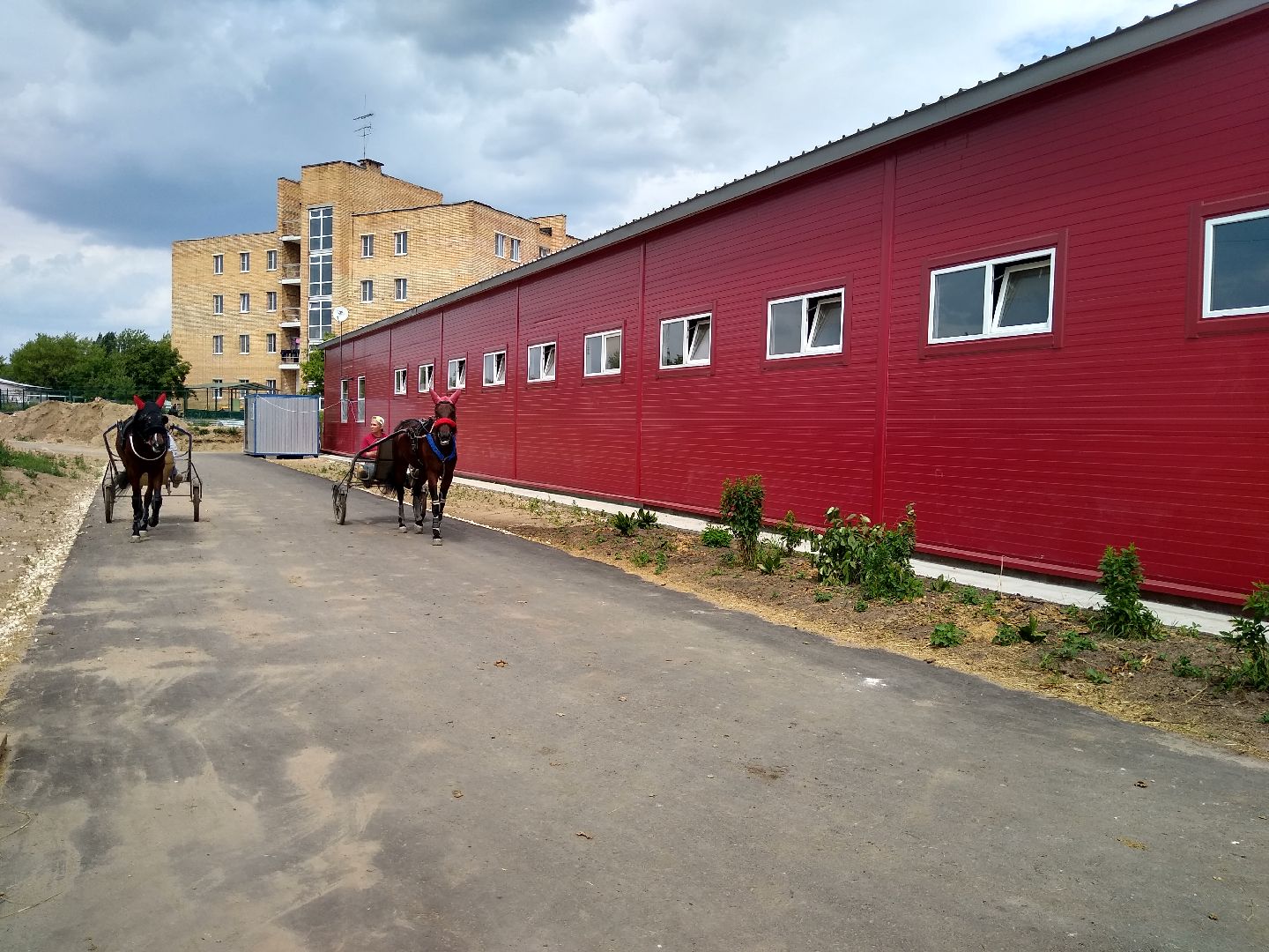 Раменское, спорт, на Раменском ипподроме разместили 160 лошадей