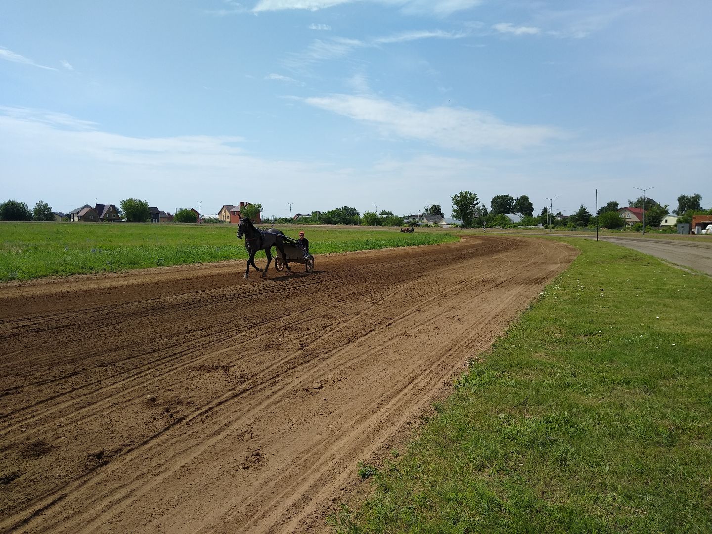 Раменское, спорт, на Раменском ипподроме разместили 160 лошадей