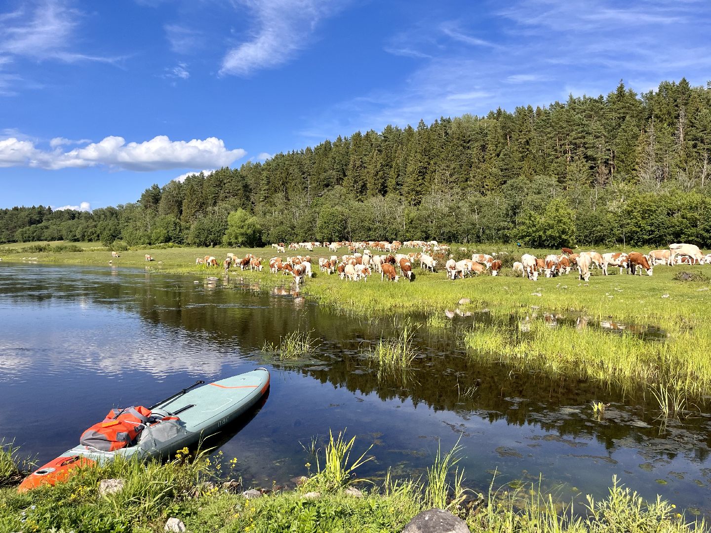 Шаховская, сапсерфинг, сапборд, спорт