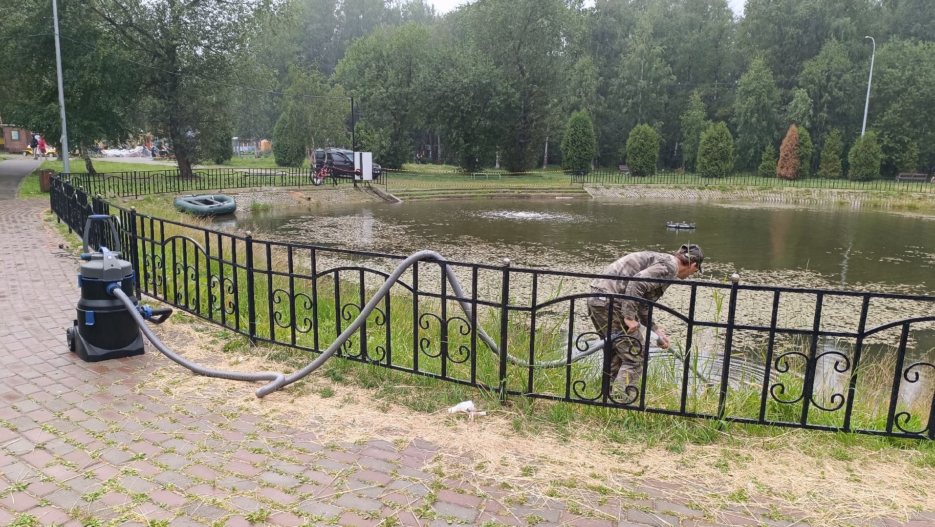 Лобня, пруд, водоросли