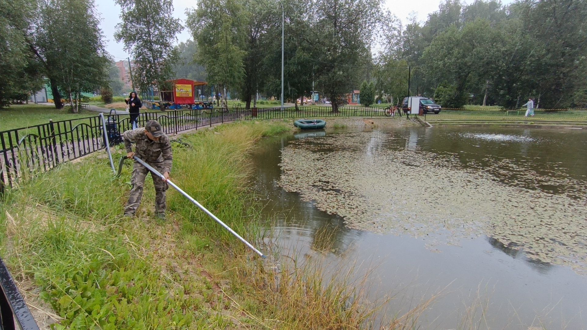 Лобня, пруд, водоросли