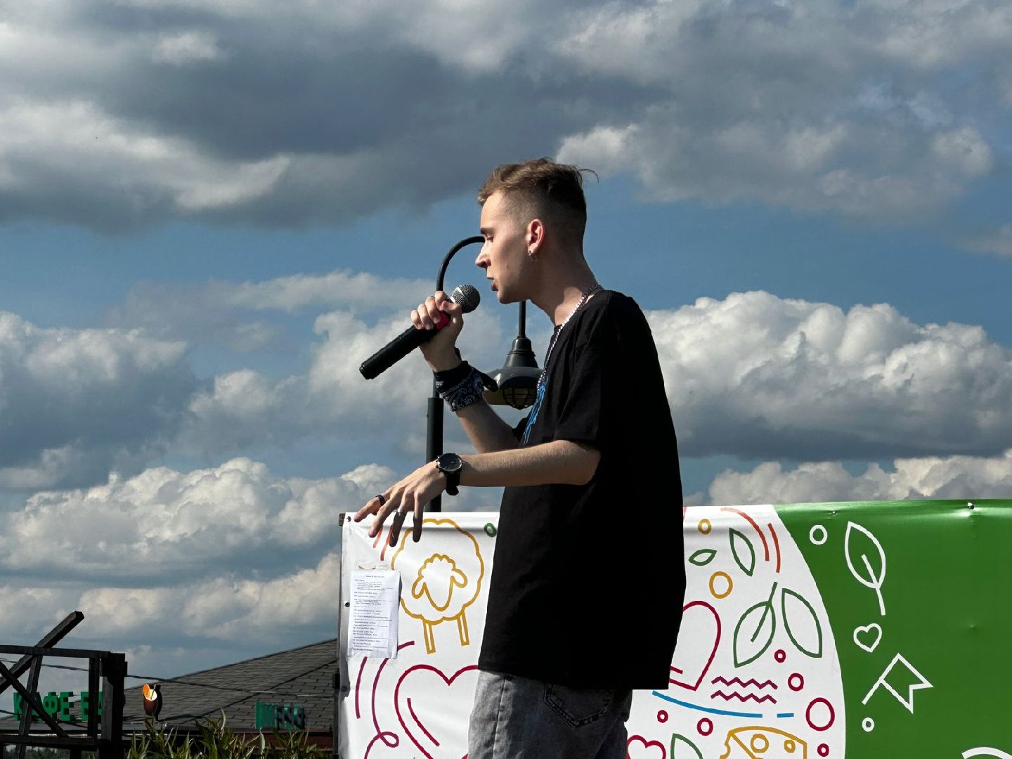 Солнечногорск, фестиваль, битбокс, песни, исполнители