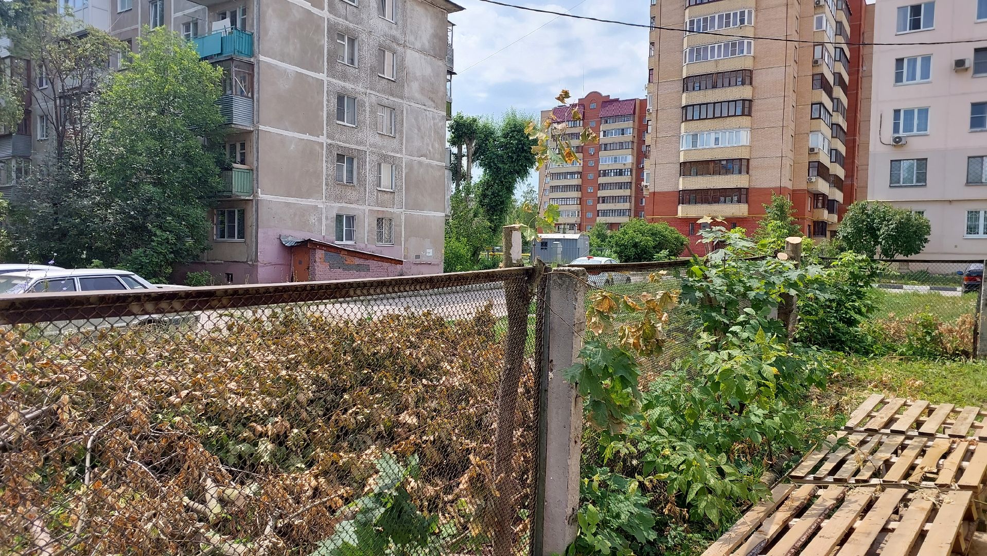 строительство забора, деревья, детский сад, серпухов, звездочка, новый забор,