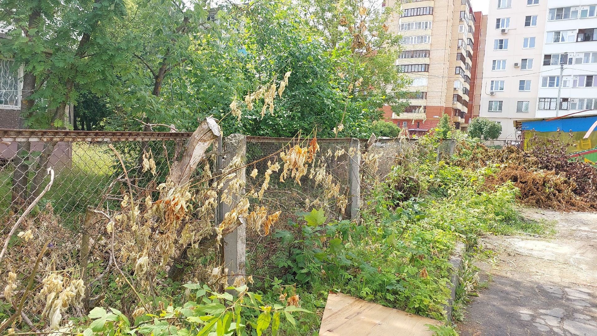 строительство забора, деревья, детский сад, серпухов, звездочка, новый забор,