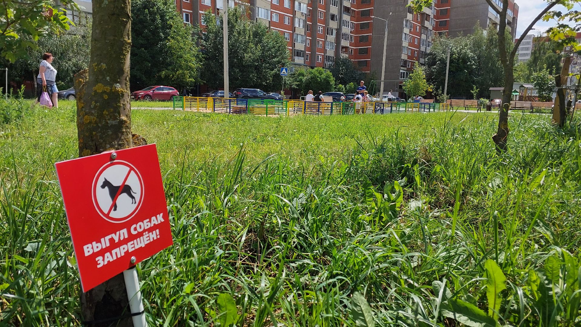 серпухов, двор, детские площадки, собаки, выгул собак, депутат, жители,