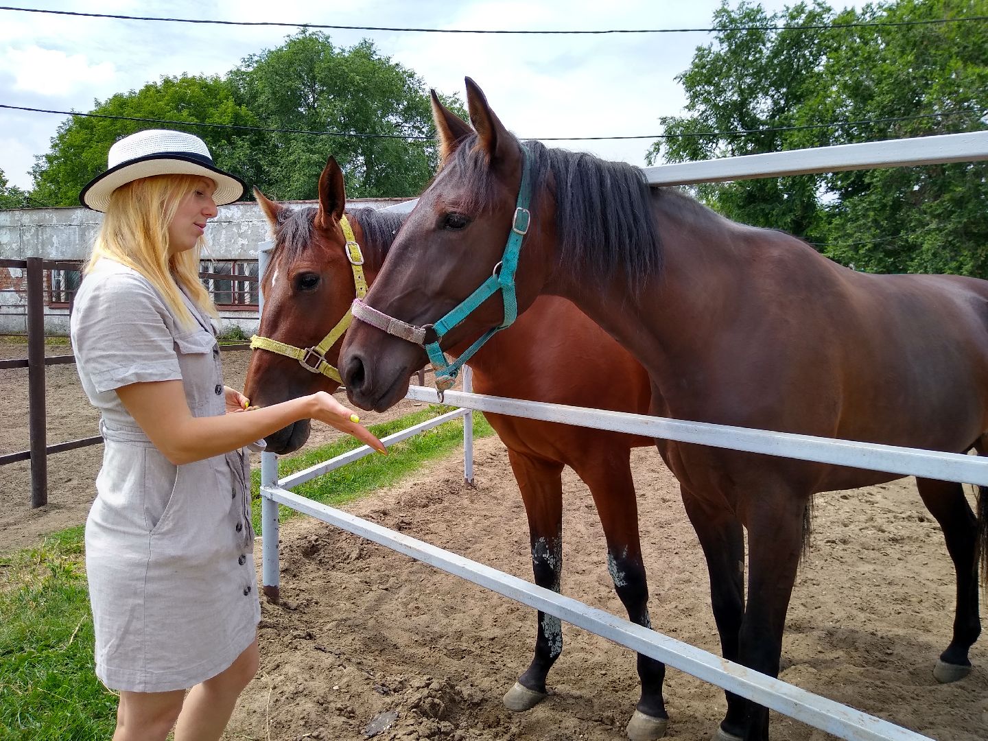 Раменское, спорт, Раменский ипподром, конноспортивная школа, польза иппотерапии