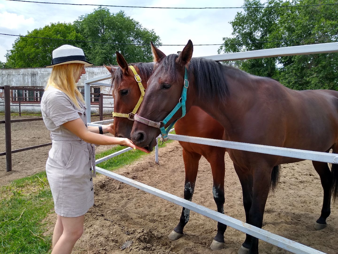 Раменское, спорт, Раменский ипподром, конноспортивная школа, польза иппотерапии