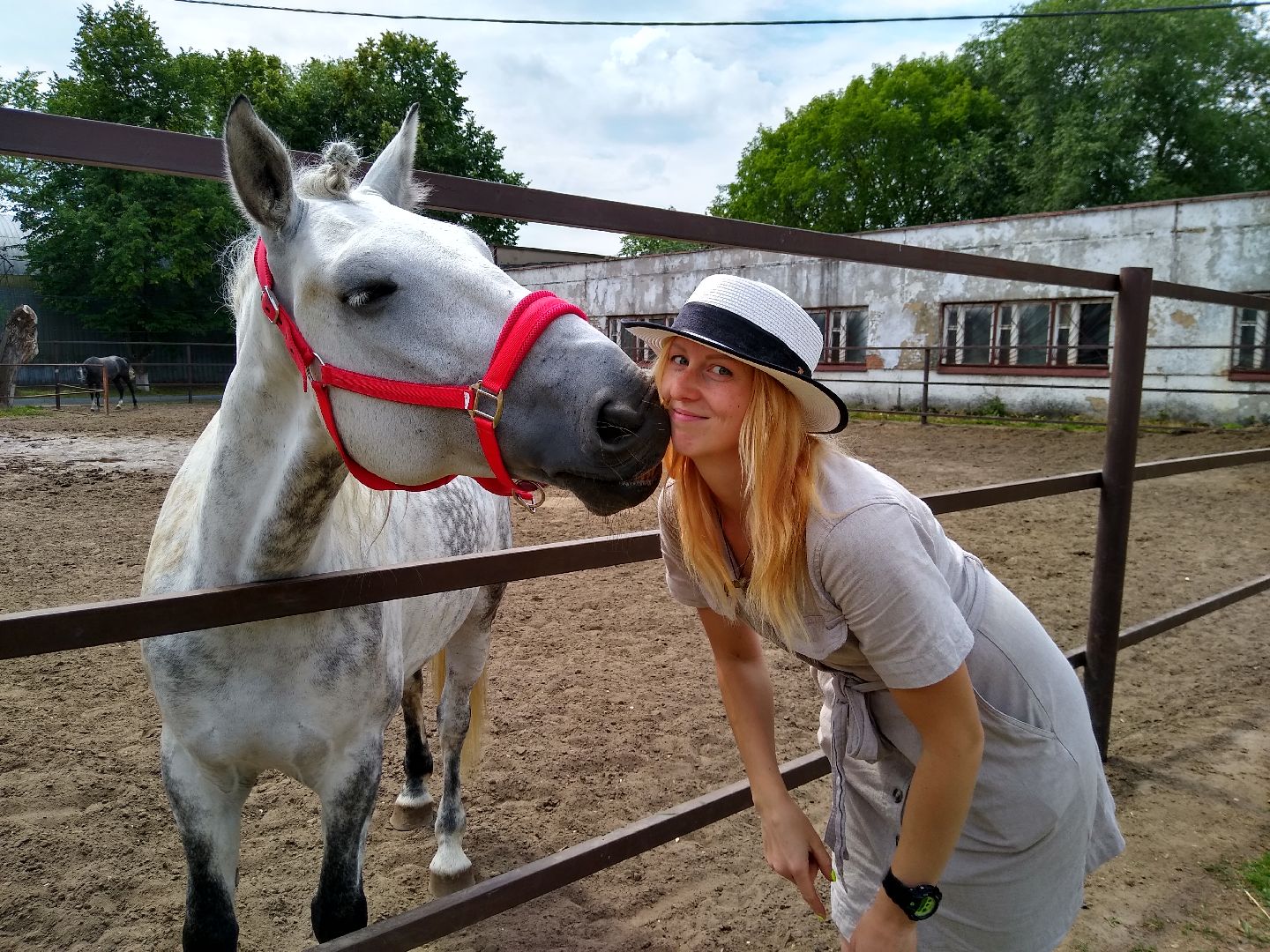 Раменское, спорт, Раменский ипподром, конноспортивная школа, польза иппотерапии