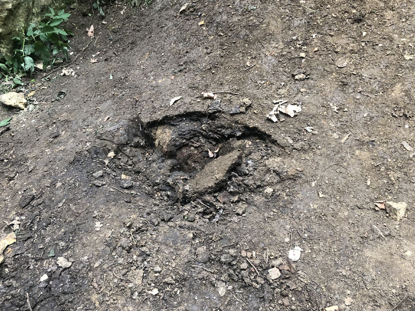 Рузский округ, альпинист, спасатели, происшествие, мособлпожспас,