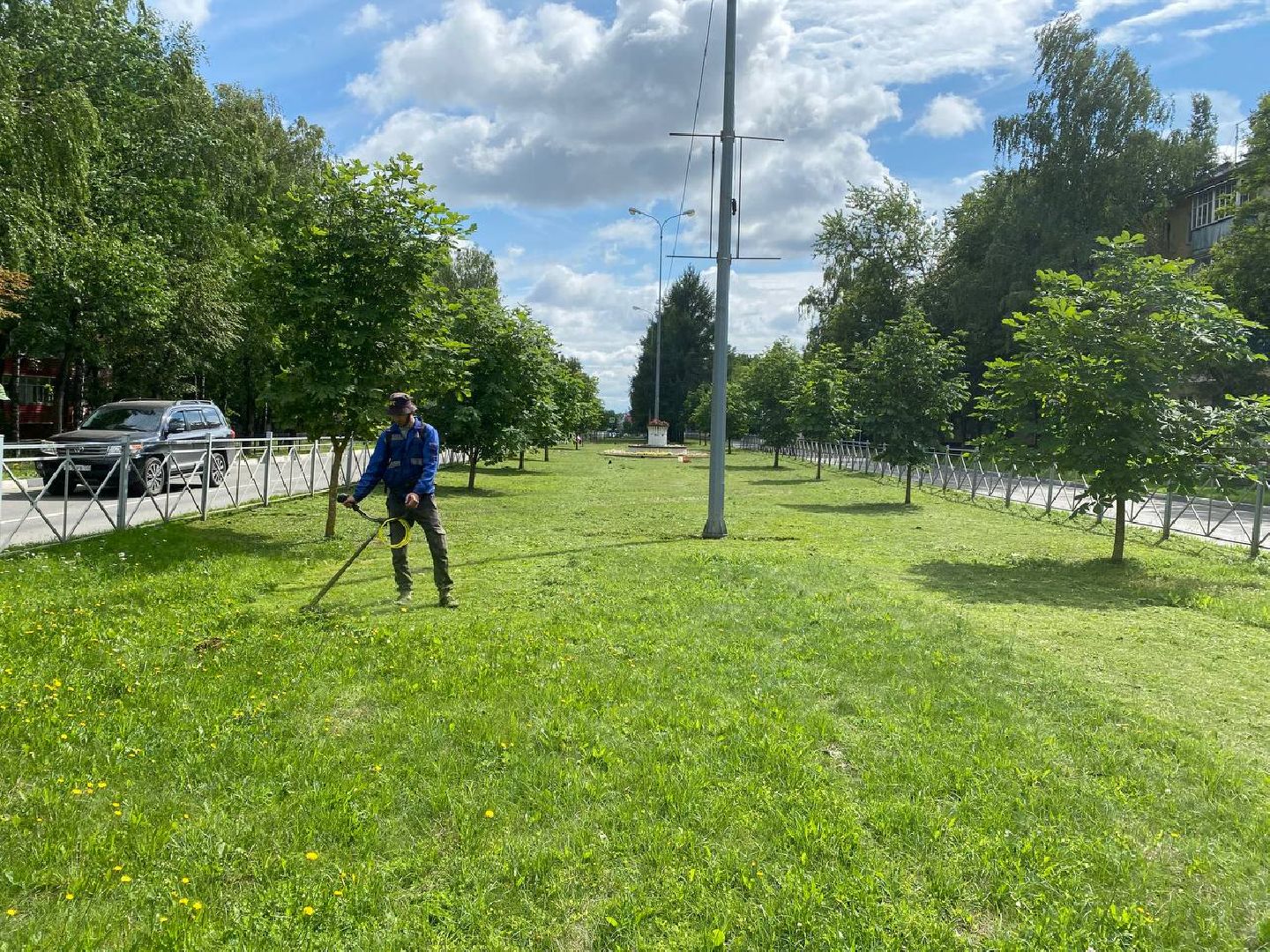 Чехов, благоустройство, трава, покос, город