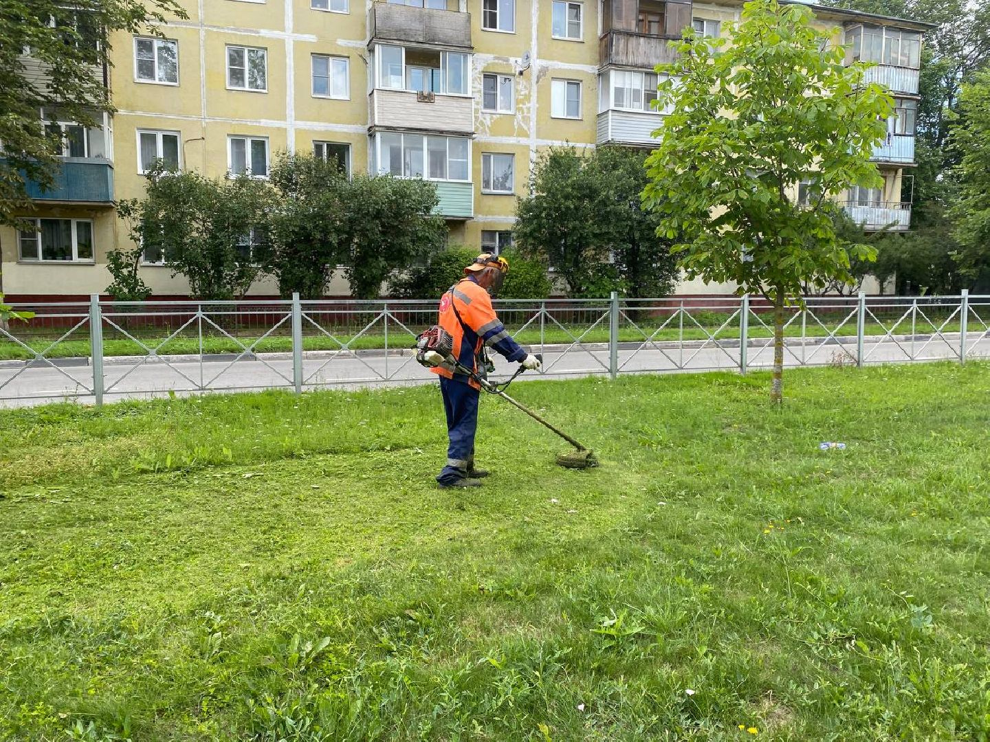 Чехов, благоустройство, трава, покос, город