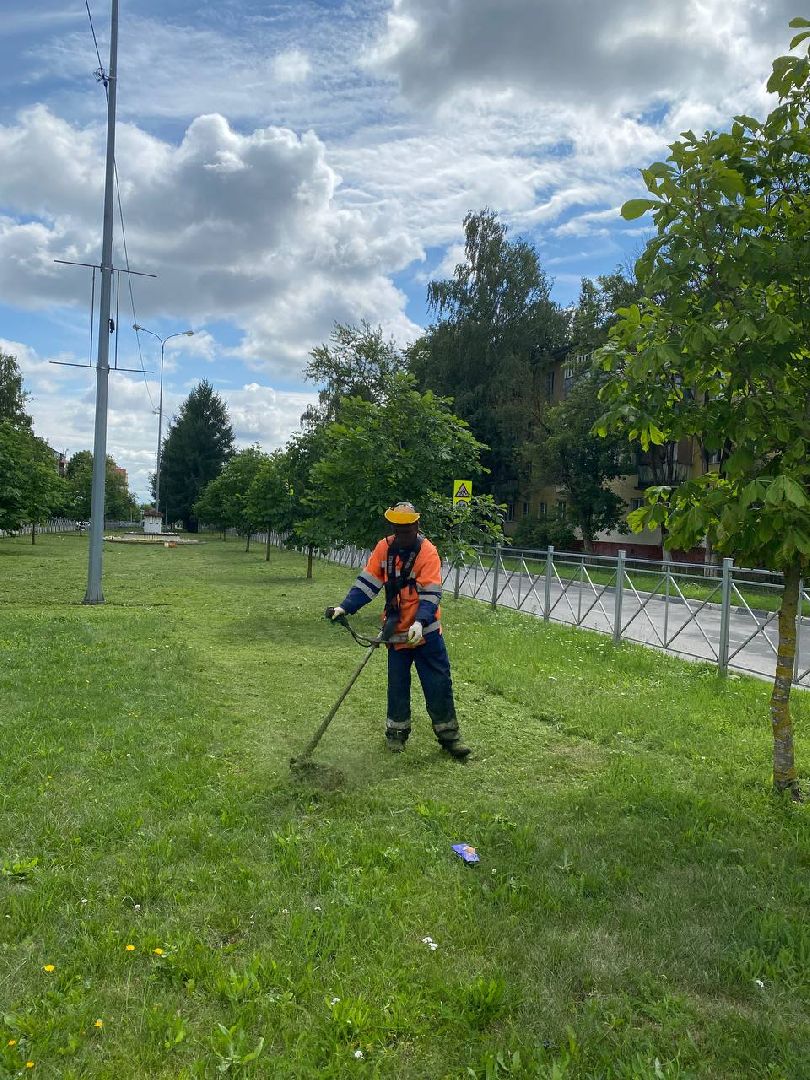 Чехов, благоустройство, трава, покос, город