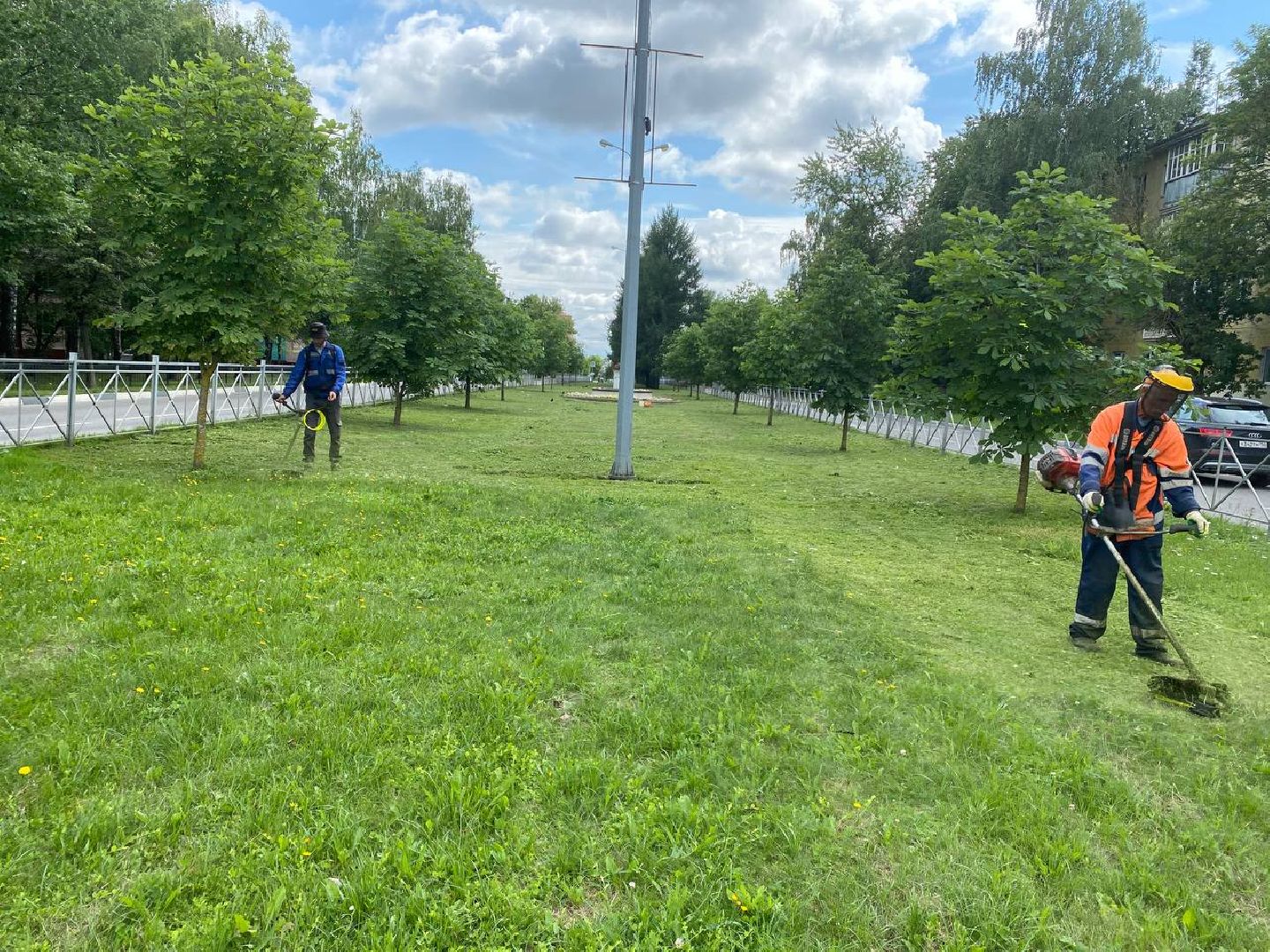 Чехов, благоустройство, трава, покос, город