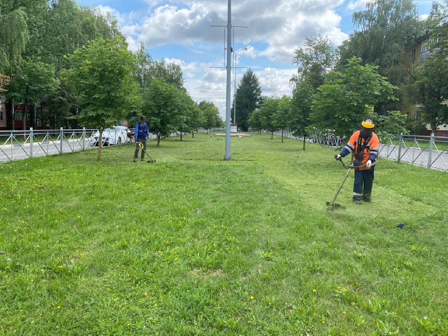 Чехов, благоустройство, трава, покос, город