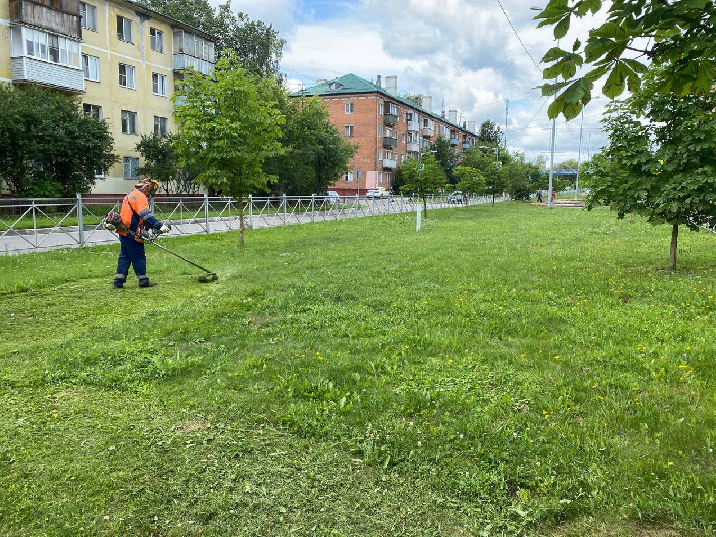 Чехов, благоустройство, трава, покос, город