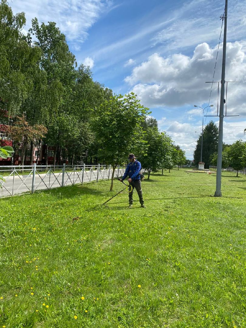 Чехов, благоустройство, трава, покос, город
