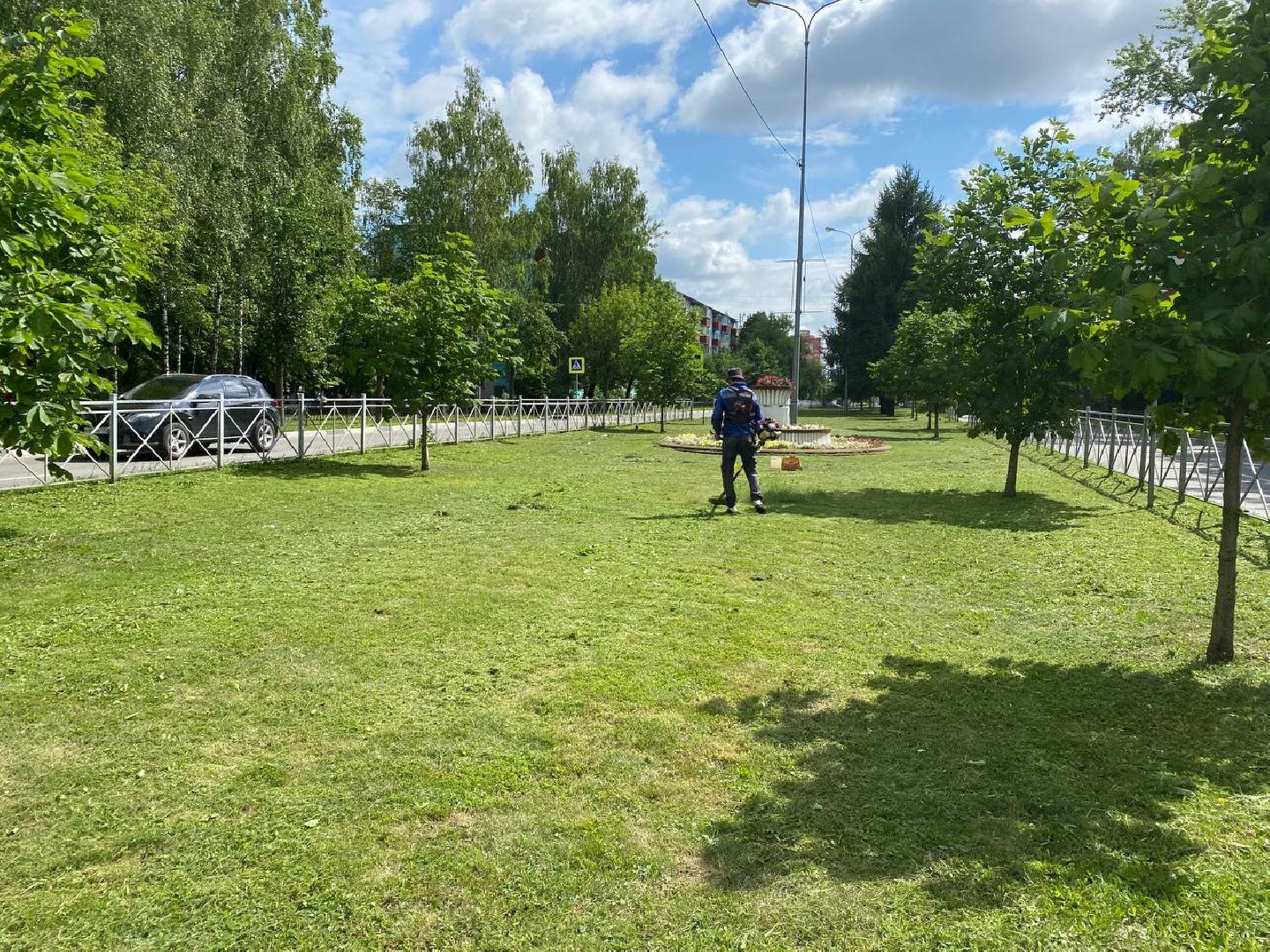 Чехов, благоустройство, трава, покос, город