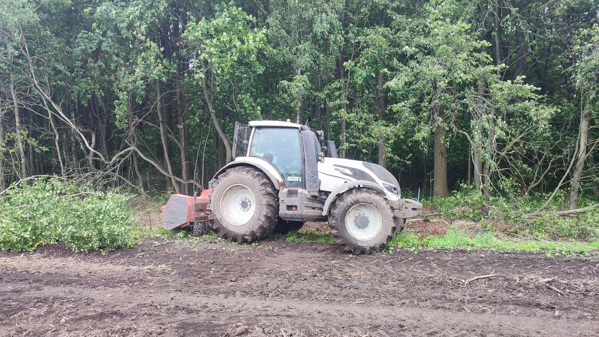 Кашира, сельское хозяйство, аграрии, рапс, горох, ячмень