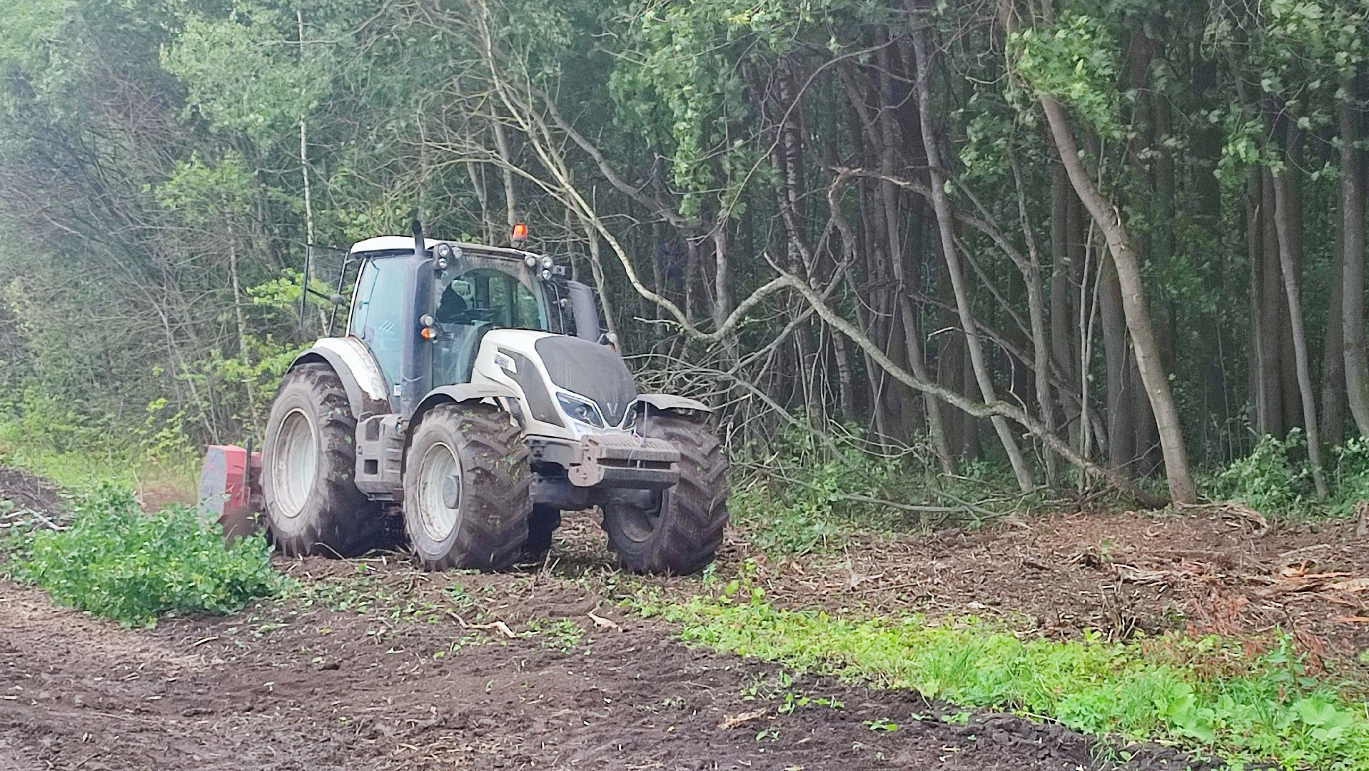 Кашира, сельское хозяйство, аграрии, рапс, горох, ячмень