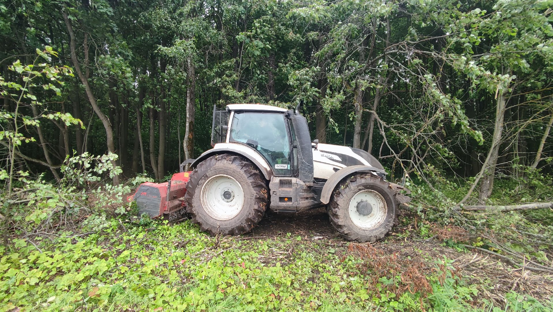 Кашира, сельское хозяйство, аграрии, рапс, горох, ячмень