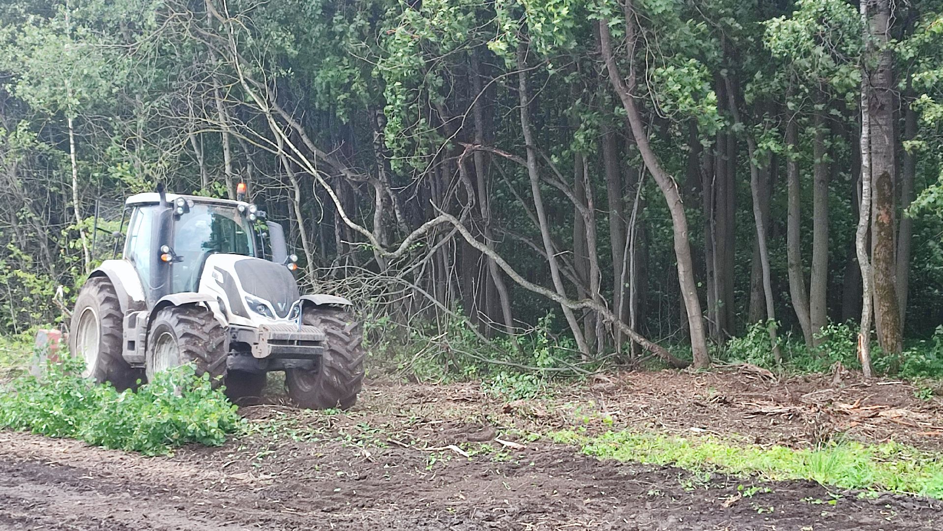 Кашира, сельское хозяйство, аграрии, рапс, горох, ячмень