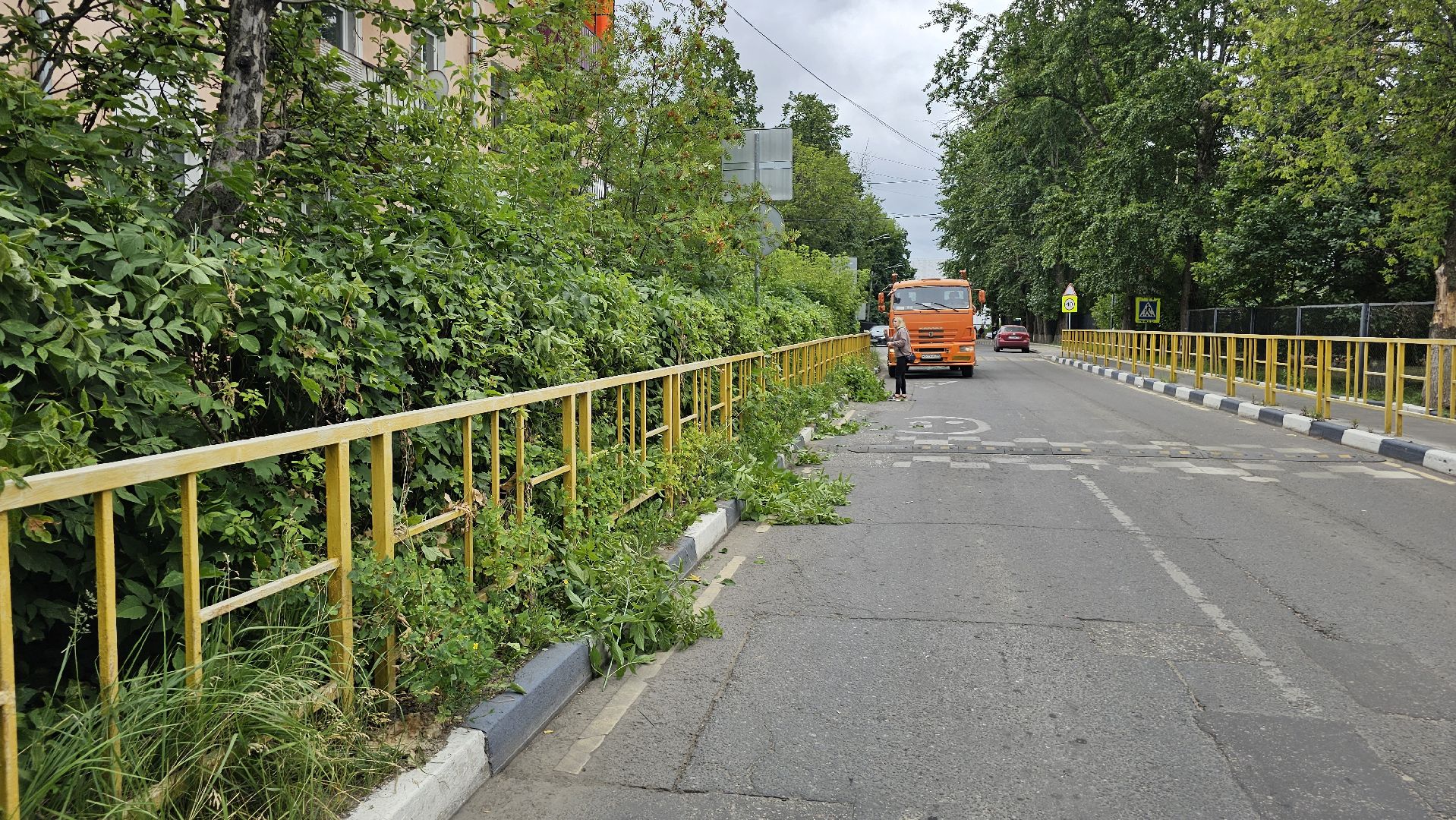 благоустройство, опиловка кустов, Котельники