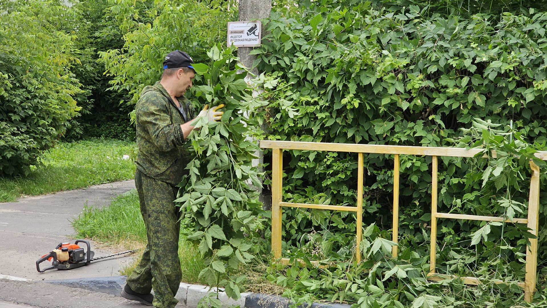 благоустройство, опиловка кустов, Котельники
