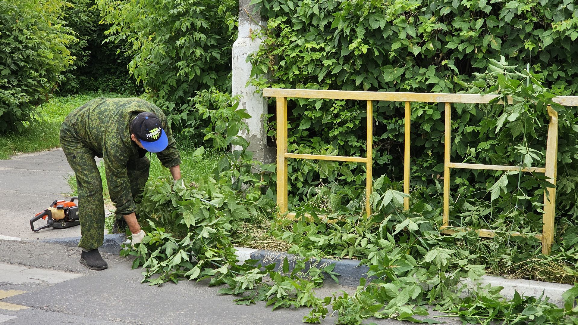 благоустройство, опиловка кустов, Котельники