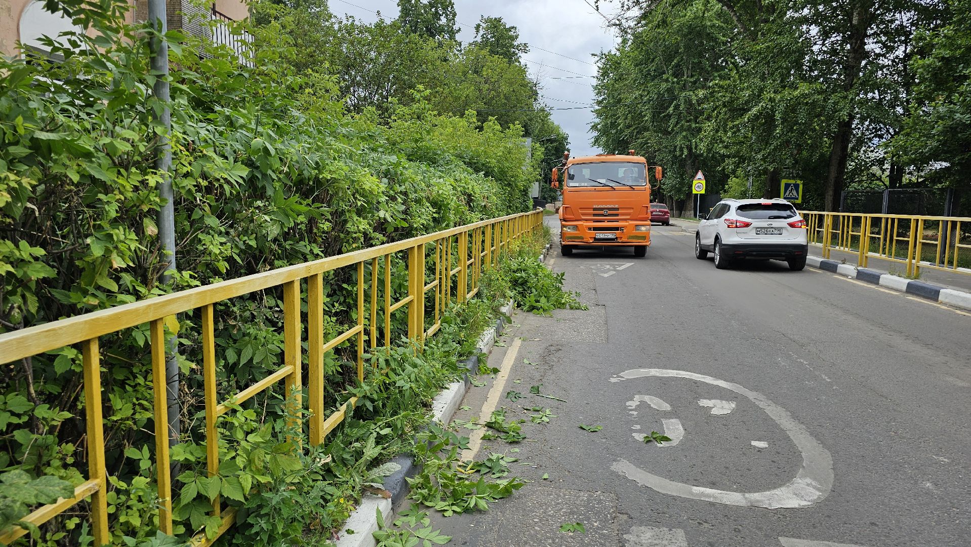 благоустройство, опиловка кустов, Котельники