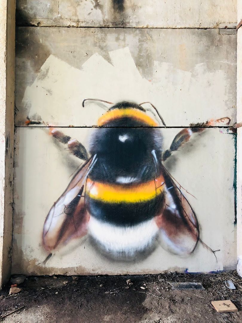 Домодедово, художник, портреты, уличное творчество