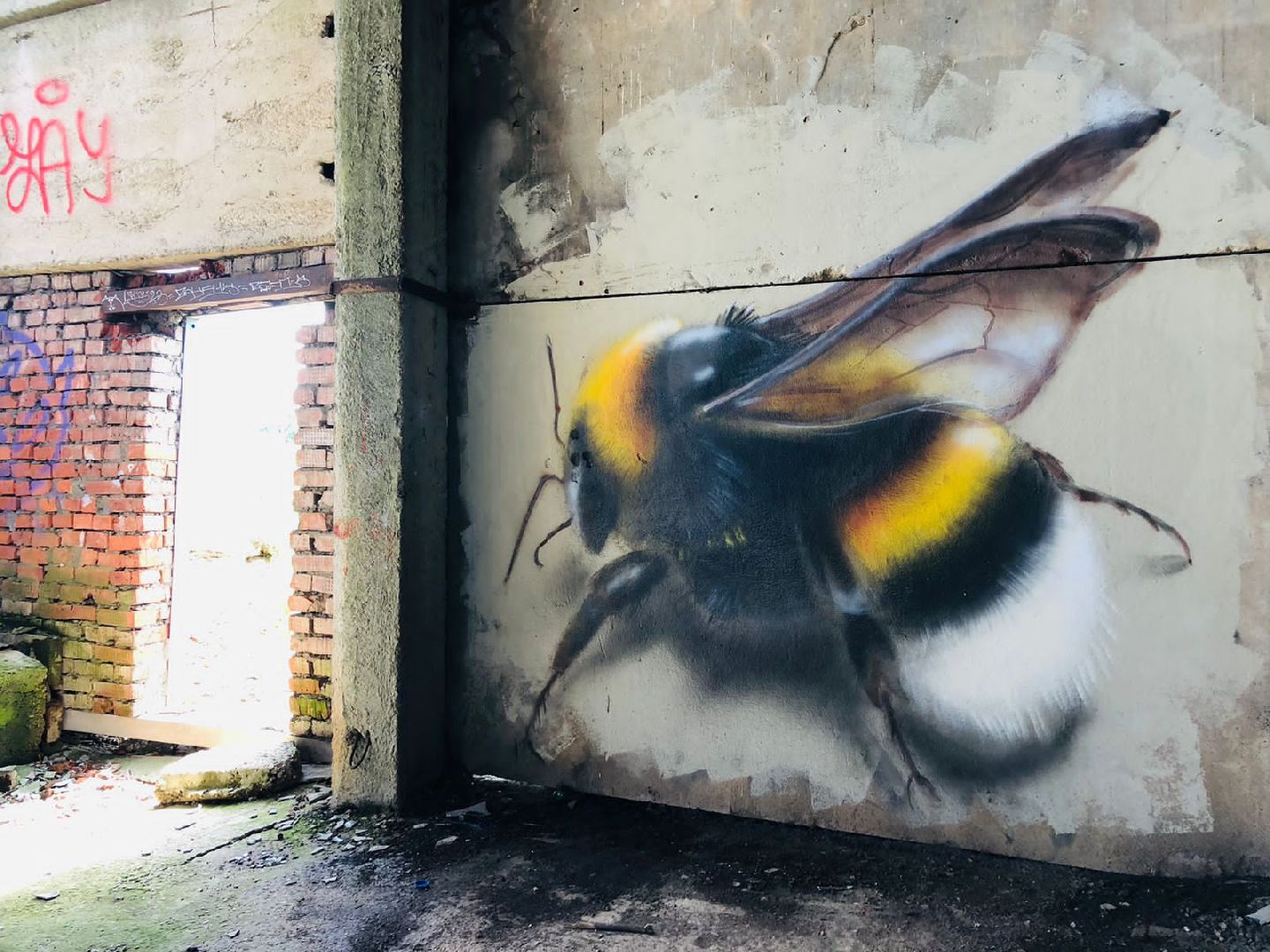 Домодедово, художник, портреты, уличное творчество