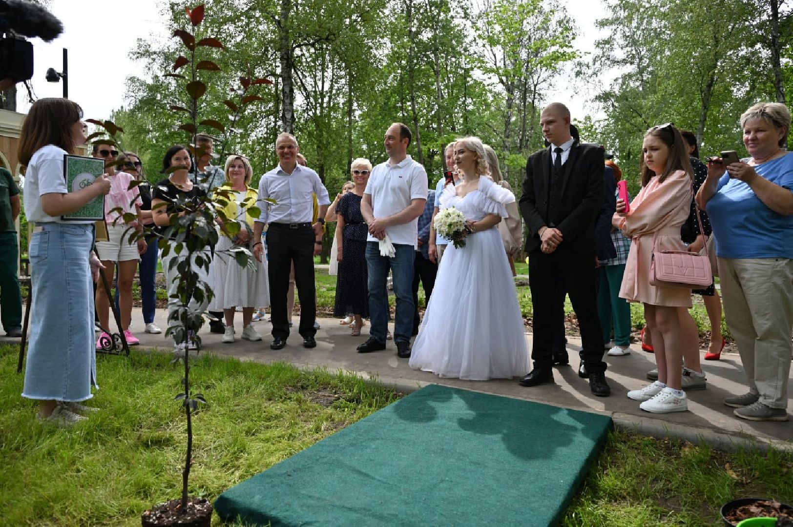 Ступино, парк Островского, аллея молодоженов