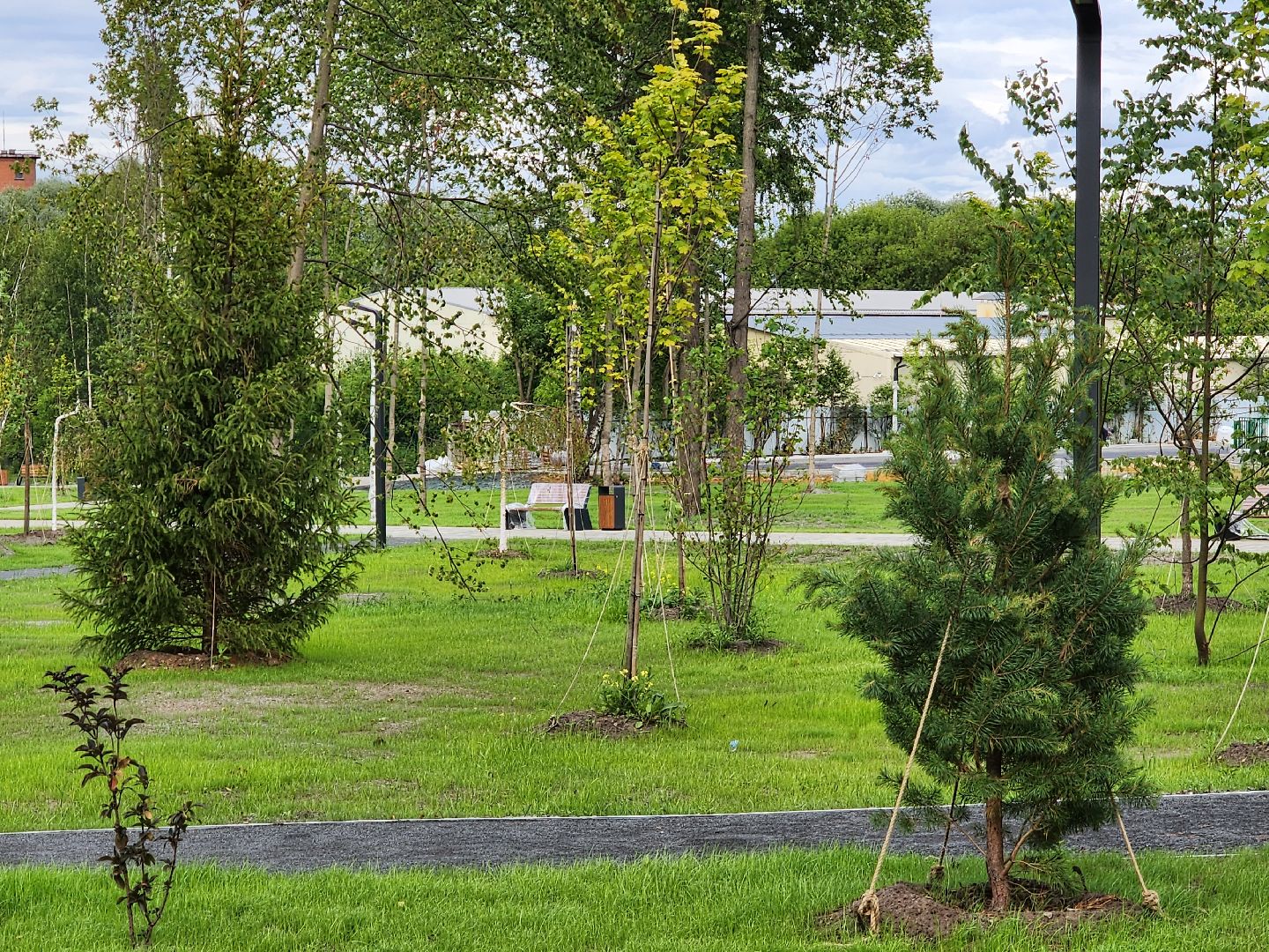 Павловский Посад, городской округ Павловский Посад, строительство, благоустройство, парк, Дубрава, сквер, люди