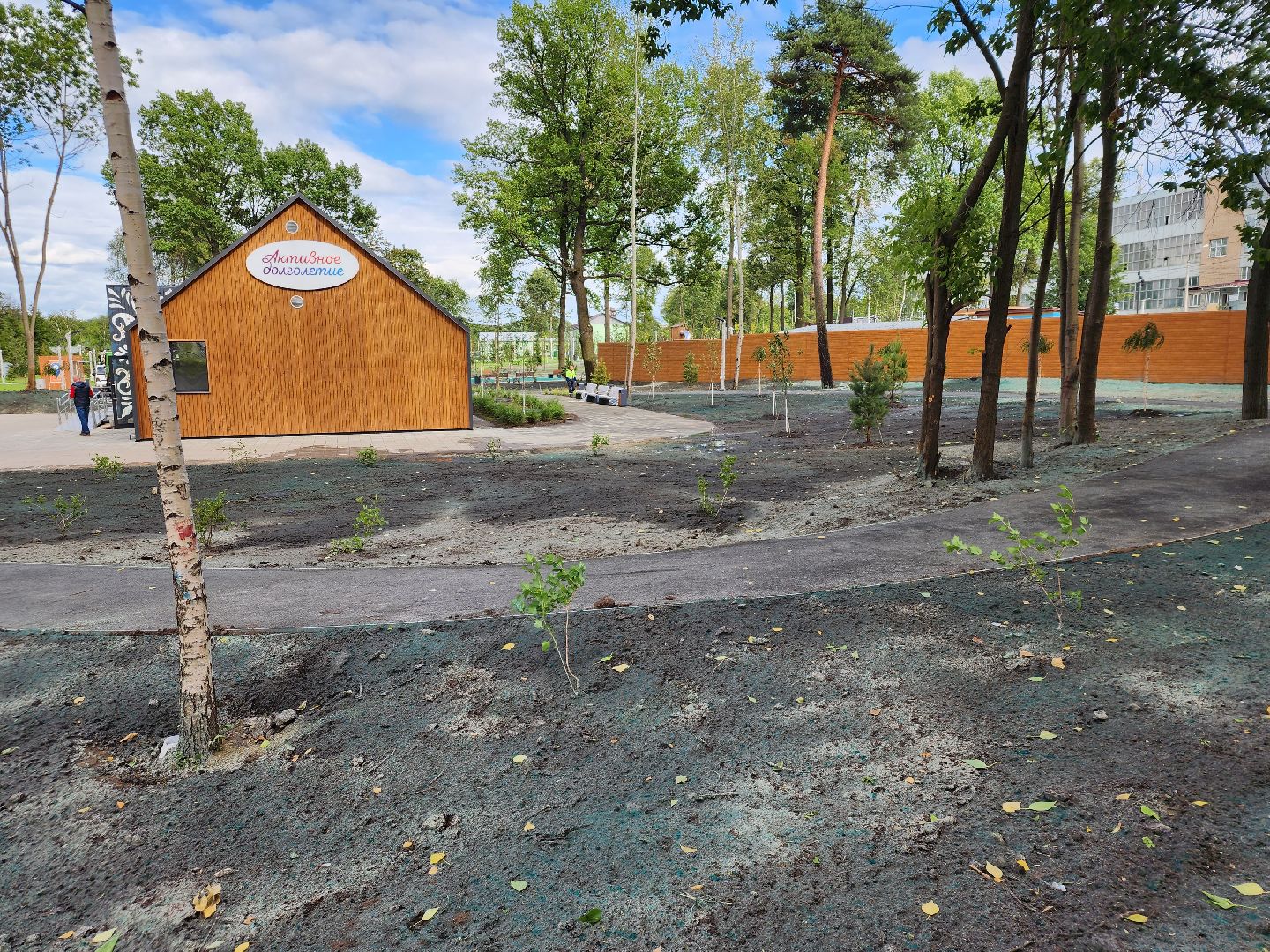 Павловский Посад, городской округ Павловский Посад, строительство, благоустройство, парк, Дубрава, сквер, люди