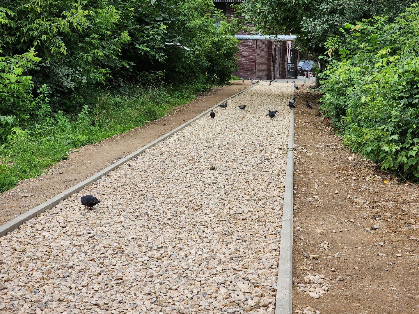 Одинцово, благоустройство, двор, детская площадка,