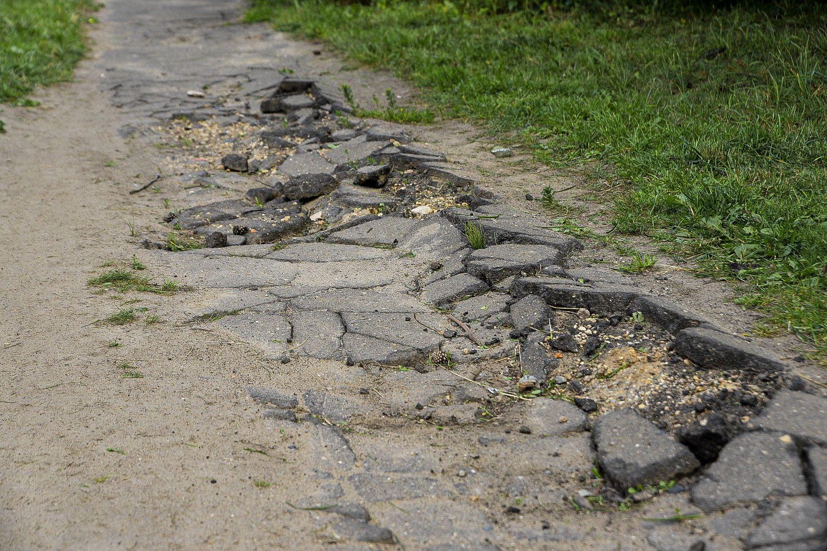 Солнечногорск, Кривцово, благоустройство, жители, администрация