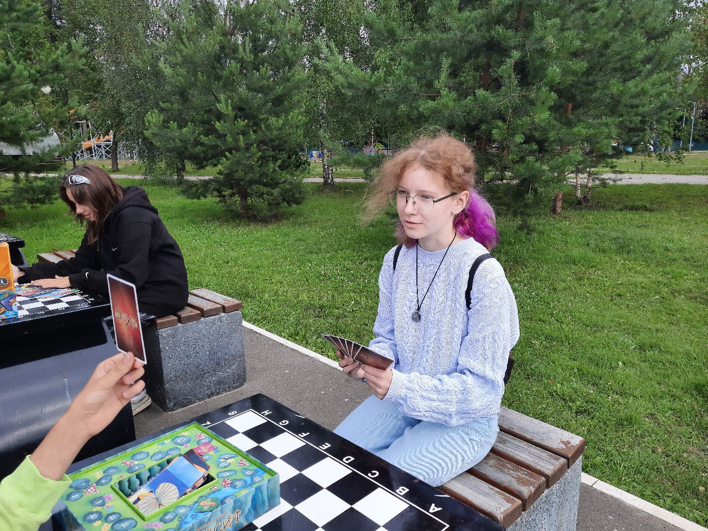 Шатура, библиотека, парк, диксит