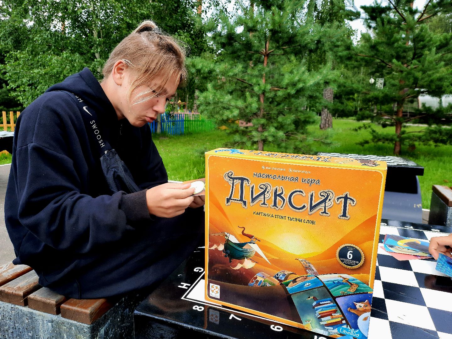 Шатура, библиотека, парк, диксит