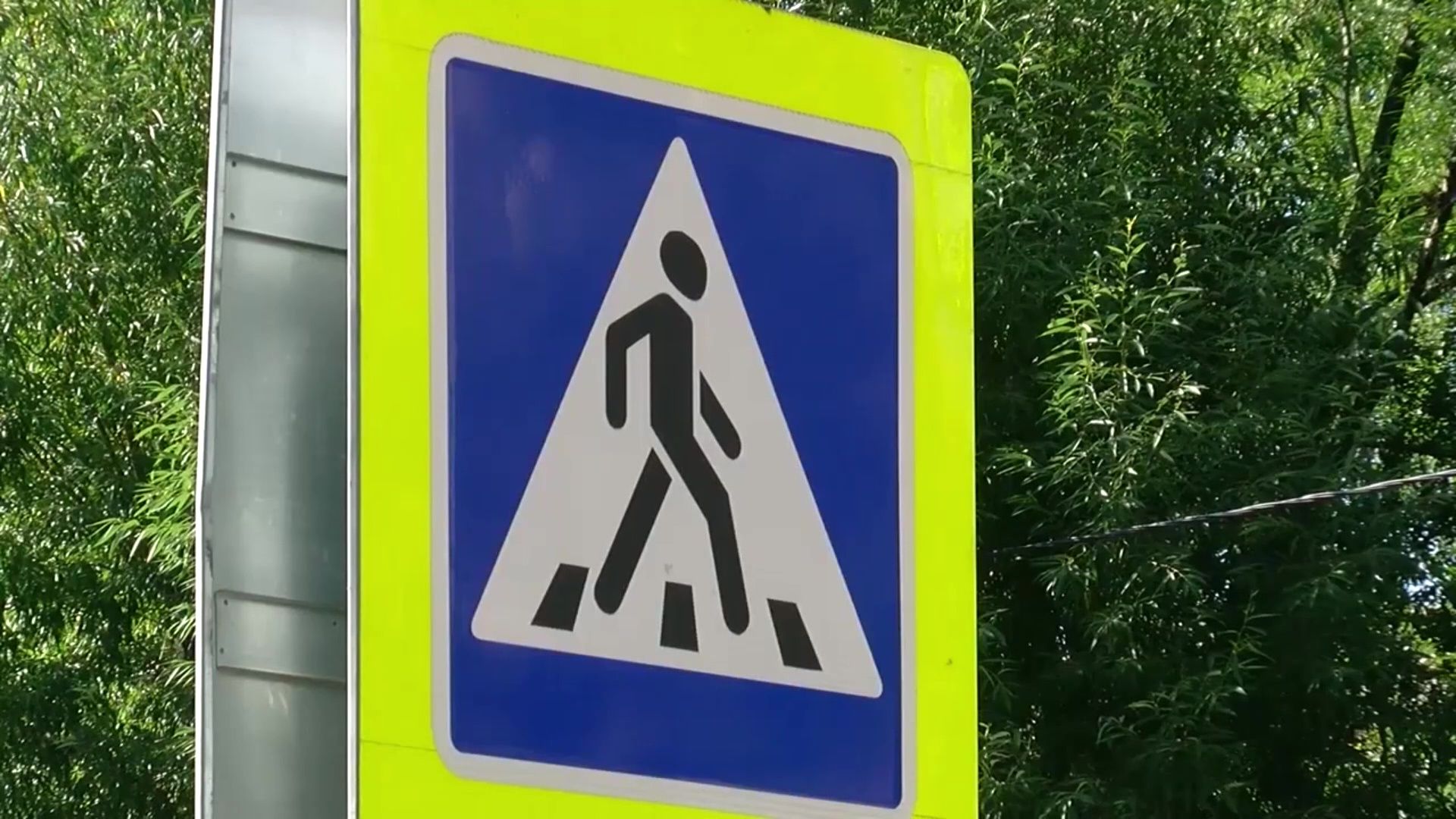 Реутов, Госавтоинспекция, рейд, пешеходы, водители