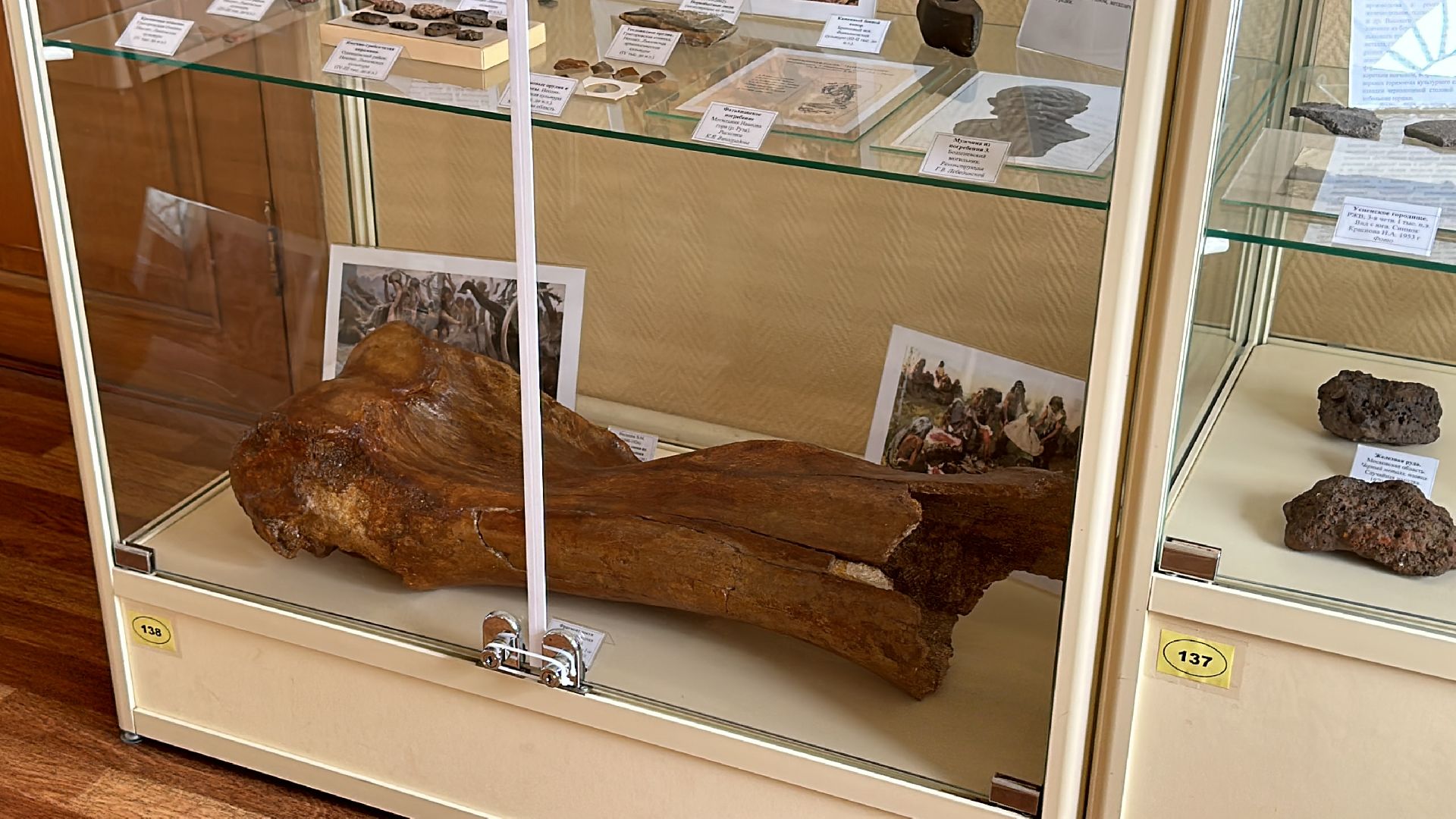 Одинцово, Музей, Раскопки, Археологи