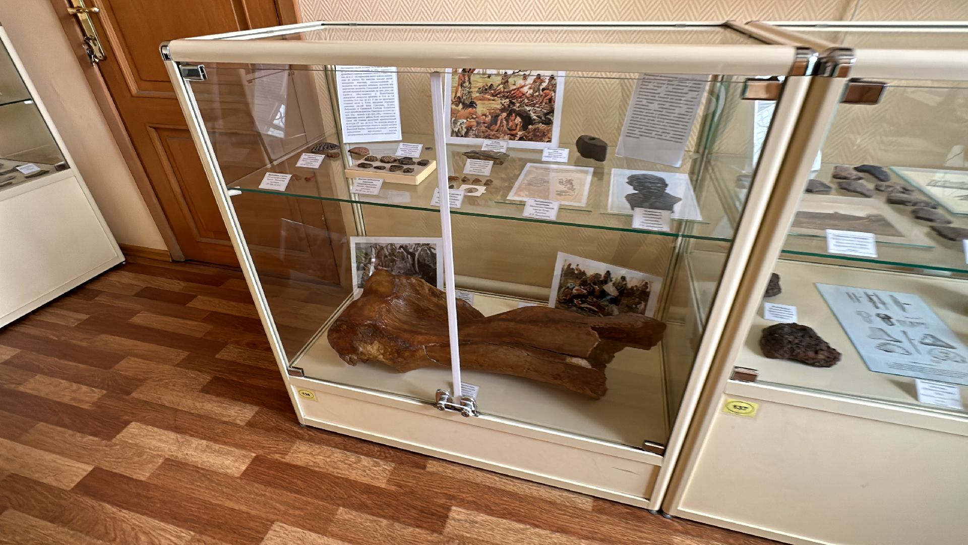 Одинцово, Музей, Раскопки, Археологи