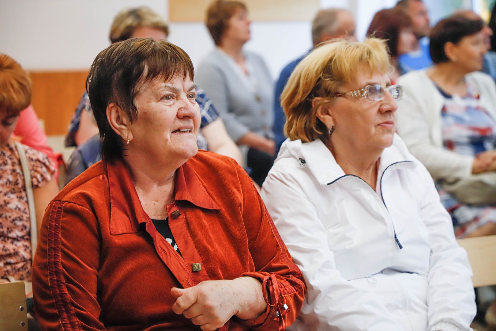 Московская областная дума, Домодедово