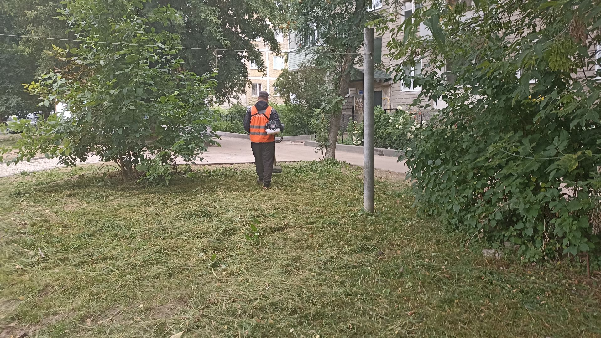 Серпухов, Подмосковье, благоустройство, покос травы, губернатор