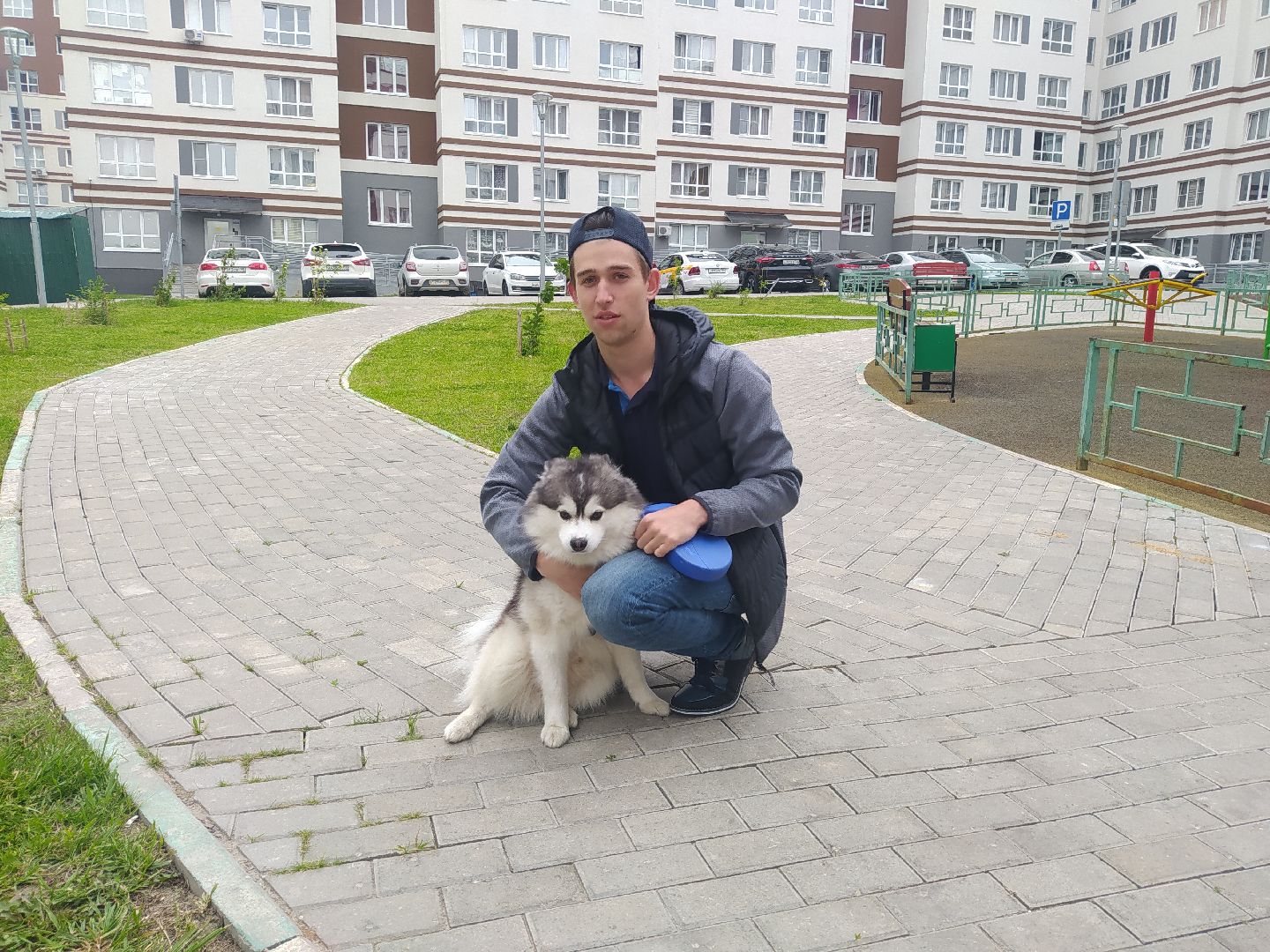 Нахабино, собаки, жара, животные, солнечный удар