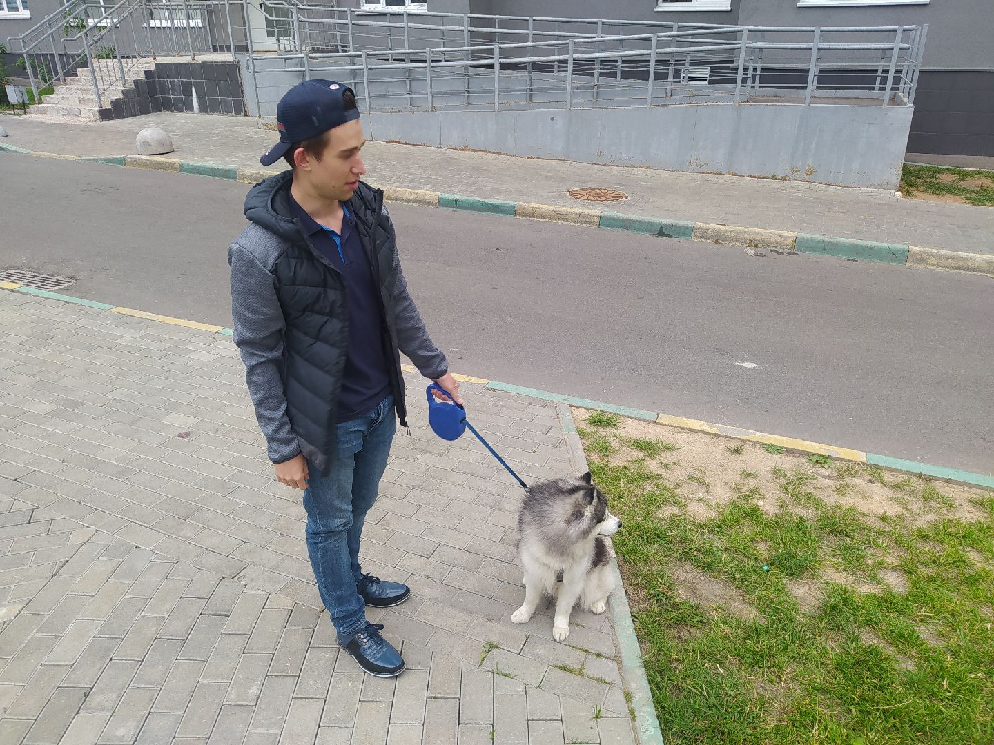 Нахабино, собаки, жара, животные, солнечный удар