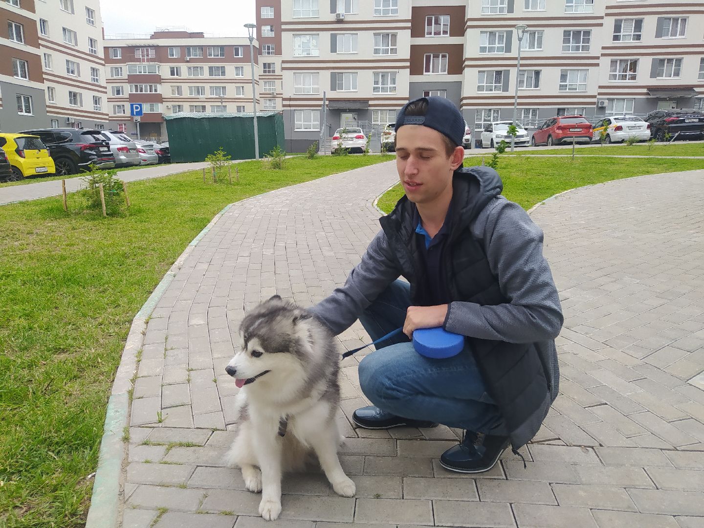 Нахабино, собаки, жара, животные, солнечный удар