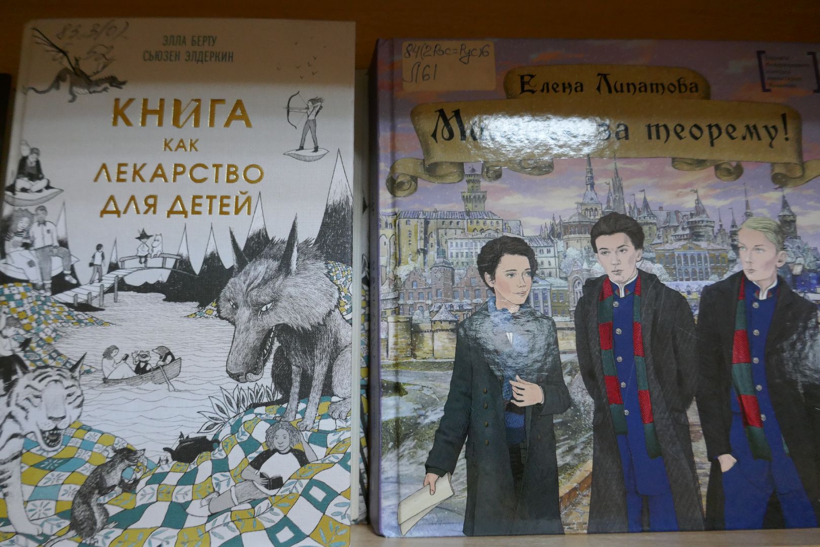 Подольск, культура, чтение, книги, библиотека, нацпроект, транш